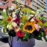 Armonia florilor