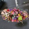 Armonia florilor