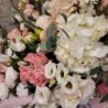 Armonia florilor