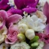 Armonia florilor