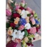 Armonia florilor