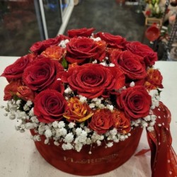 Armonia florilor