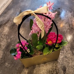 Armonia florilor