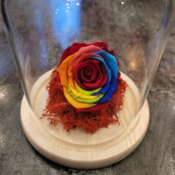Armonia florilor