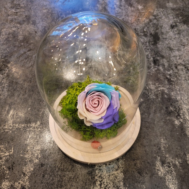 Armonia florilor
