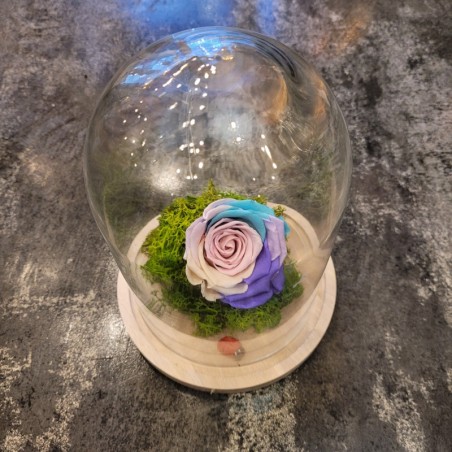 Armonia florilor