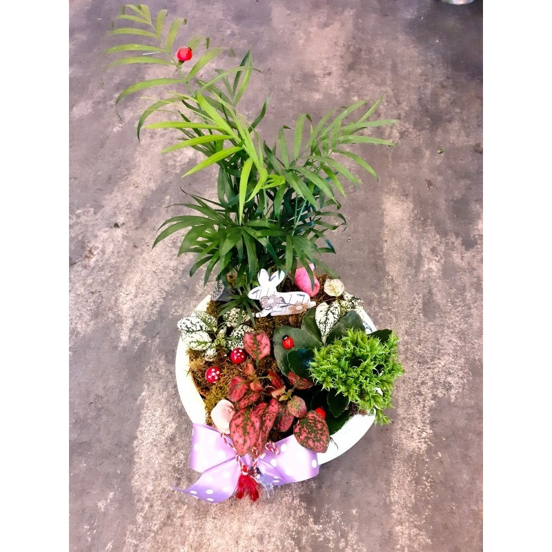 Comanda de la Armonia florilor