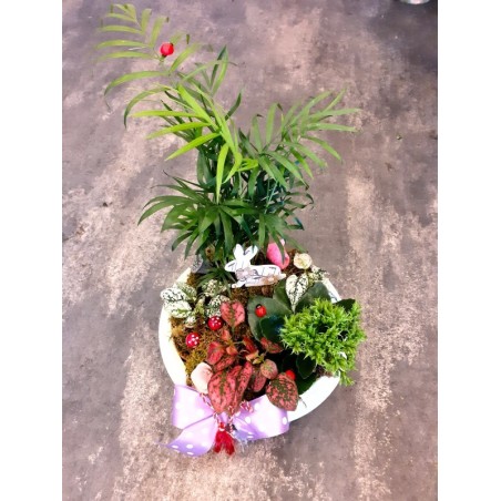 Comanda de la Armonia florilor