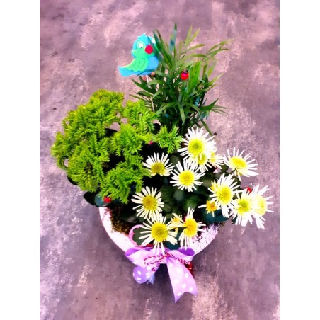 Comanda de la Armonia florilor