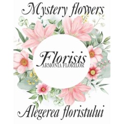 Alegerea floristului - Florarie Cluj Armonia florilor Buchet - XXL
