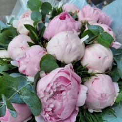 Armonia florilor