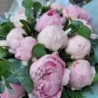 Armonia florilor