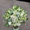 Armonia florilor