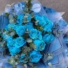 Armonia florilor