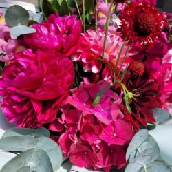 Armonia florilor